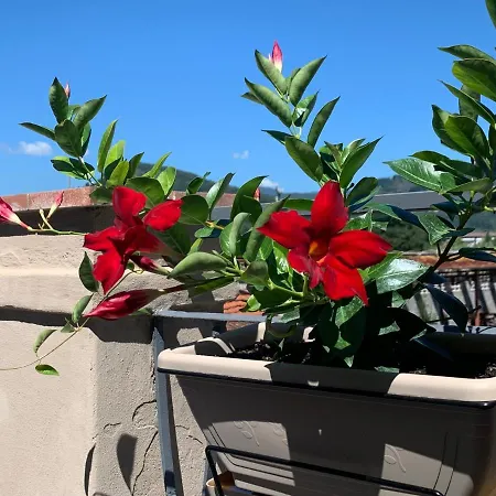 Piccola Dimora Bed & Breakfast